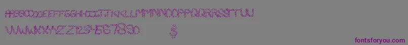 Slashking Font – Purple Fonts on Gray Background