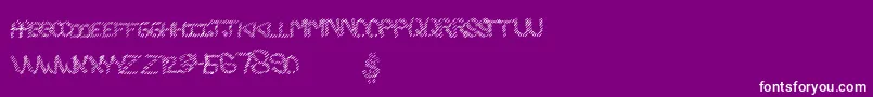 Slashking Font – White Fonts on Purple Background