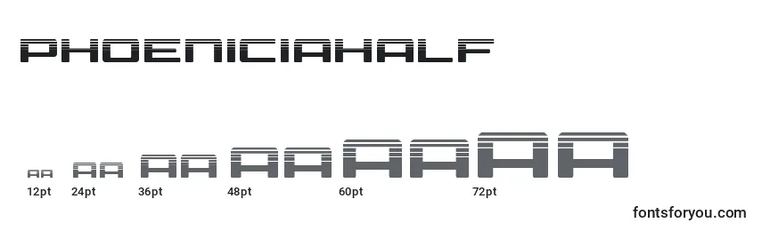 Размеры шрифта Phoeniciahalf