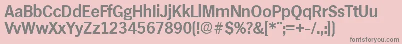 HamburgDemibold Font – Gray Fonts on Pink Background