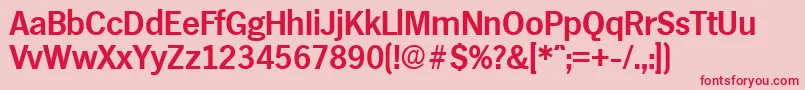 HamburgDemibold Font – Red Fonts on Pink Background