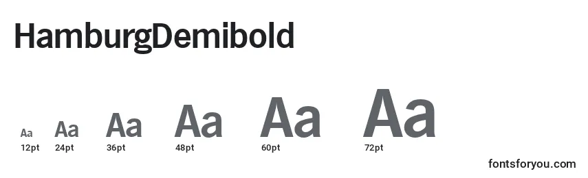 HamburgDemibold Font Sizes