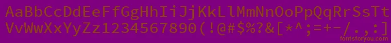 Шрифт SourcecodeproMedium – коричневые шрифты на фиолетовом фоне