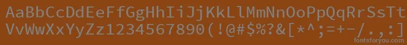 フォントSourcecodeproMedium – 茶色の背景に灰色の文字