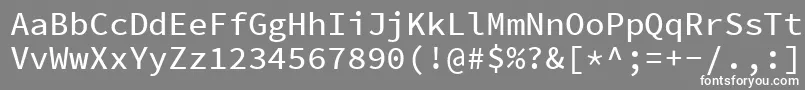 フォントSourcecodeproMedium – 灰色の背景に白い文字