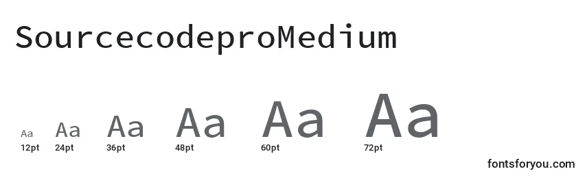 Размеры шрифта SourcecodeproMedium