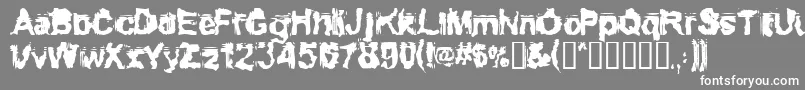 Conformy Font – White Fonts on Gray Background