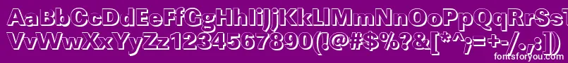 LinearshHeavyRegular Font – White Fonts on Purple Background