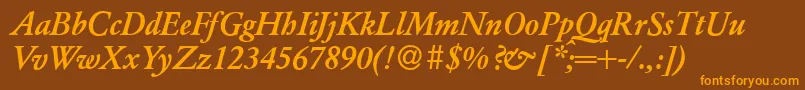 ClassicgarfeldBoldItalic Font – Orange Fonts on Brown Background