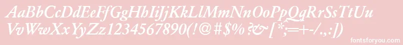 ClassicgarfeldBoldItalic Font – White Fonts on Pink Background