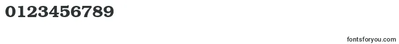 TexgyrebonumBold Font – Fonts for Numbers and Digits