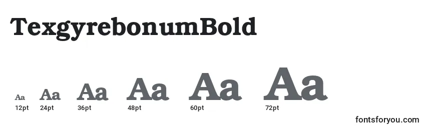 TexgyrebonumBold Font Sizes