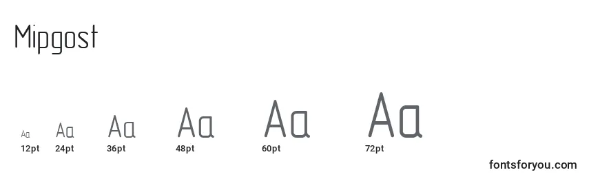 Mipgost Font Sizes