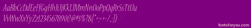 NuevastdLightconditalic Font – Pink Fonts on Purple Background