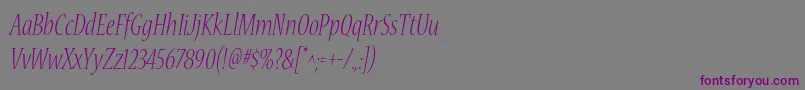 Шрифт NuevastdLightconditalic – фиолетовые шрифты на сером фоне