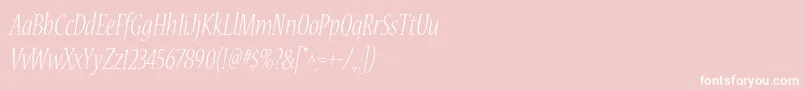 NuevastdLightconditalic Font – White Fonts on Pink Background