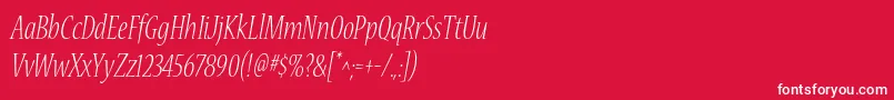 NuevastdLightconditalic Font – White Fonts on Red Background