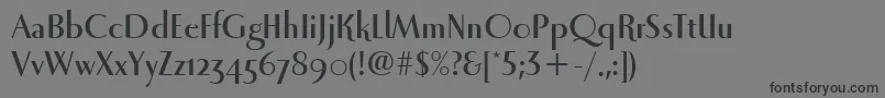 LunaItcBold Font – Black Fonts on Gray Background
