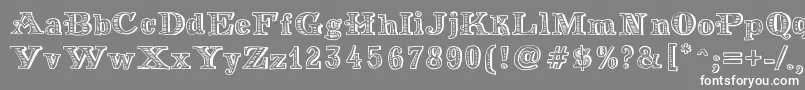More about MoneyMoney Font MoneyMoney Font – White Fonts on Gray Background