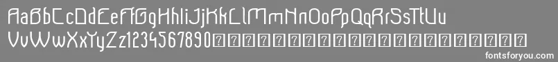 Beeridgedemo Font – White Fonts on Gray Background