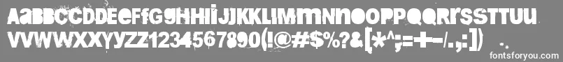BugReport Font – White Fonts on Gray Background