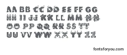 Review of the Crittera Font