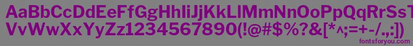 LibrefranklinBold Font – Purple Fonts on Gray Background