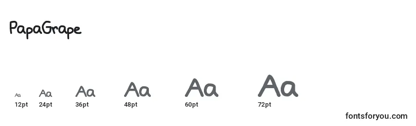 Размеры шрифта PapaGrape