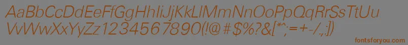 Weitere Informationen zur UltimateserialXlightItalic-Schriftart UltimateserialXlightItalic-Schriftart – Braune Schriften auf grauem Hintergrund