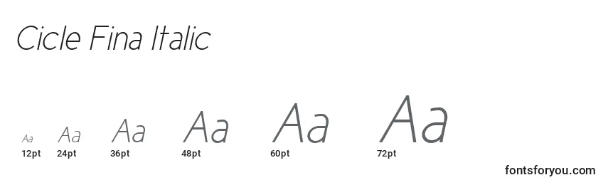 Размеры шрифта Cicle Fina Italic