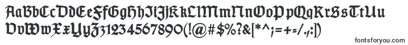 TypographergotischDBold Font – Fonts Starting with T