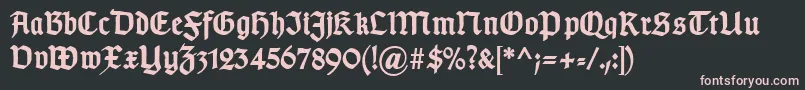 TypographergotischDBold-Schriftart – Rosa Schriften auf schwarzem Hintergrund