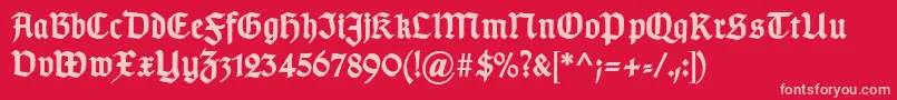 TypographergotischDBold-Schriftart – Rosa Schriften auf rotem Hintergrund