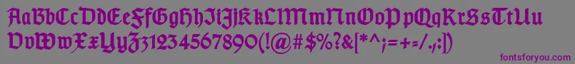 TypographergotischDBold-fontti – violetit fontit harmaalla taustalla