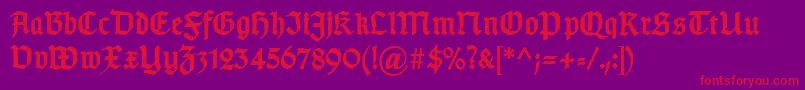 TypographergotischDBold Font – Red Fonts on Purple Background