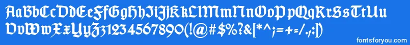 TypographergotischDBold-Schriftart – Weiße Schriften auf blauem Hintergrund