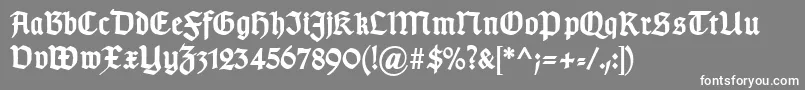 TypographergotischDBold-fontti – valkoiset fontit harmaalla taustalla