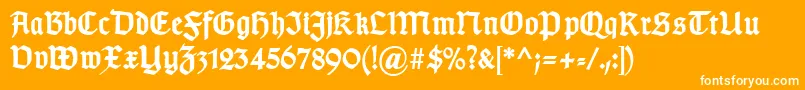 TypographergotischDBold Font – White Fonts on Orange Background