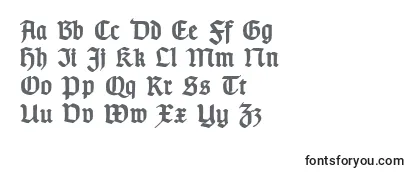Przegląd czcionki TypographergotischDBold