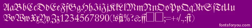 ZenithfrakturRegularDb Font – Pink Fonts on Purple Background