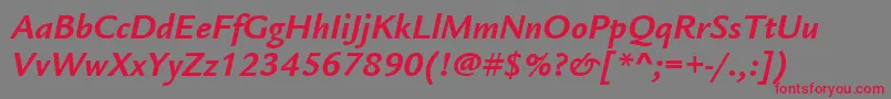 フォントItcLegacySansLtBoldItalic – 赤い文字の灰色の背景