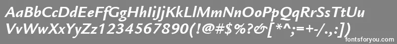 ItcLegacySansLtBoldItalic Font – White Fonts on Gray Background