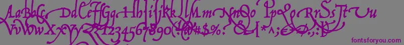 P22OperinaFiore Font – Purple Fonts on Gray Background