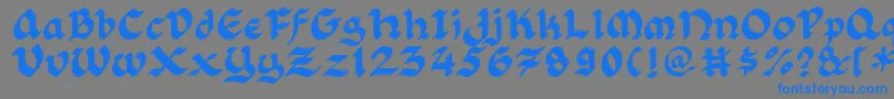 Florlrg Font – Blue Fonts on Gray Background
