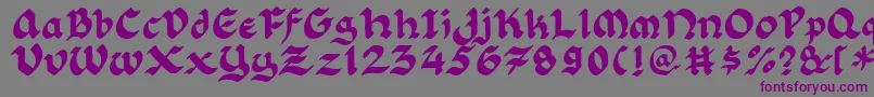 Florlrg Font – Purple Fonts on Gray Background