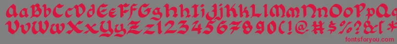 Florlrg Font – Red Fonts on Gray Background