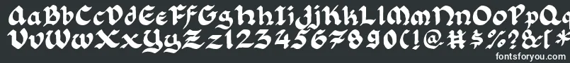 Florlrg Font – White Fonts