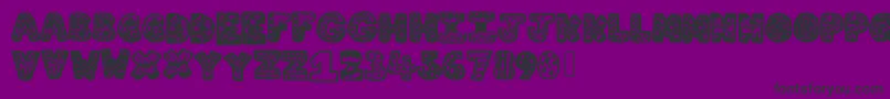 Lettergraphic Font – Black Fonts on Purple Background