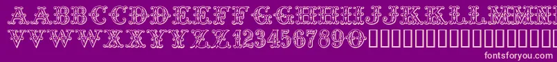 Tropicana Font – Pink Fonts on Purple Background