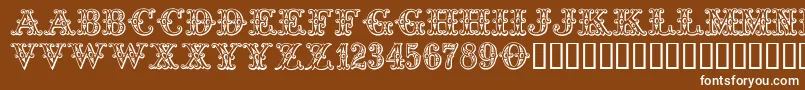 Tropicana Font – White Fonts on Brown Background